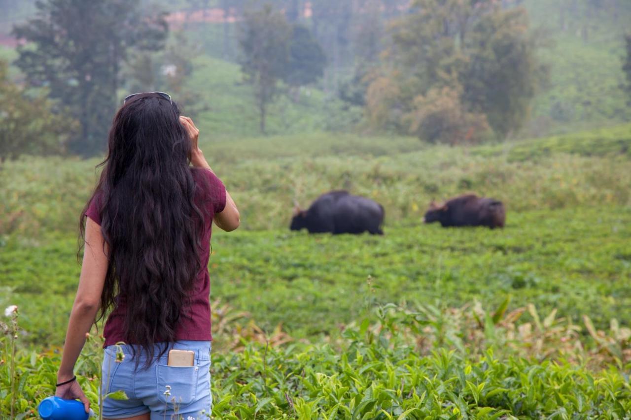 The Realm Hotel Coonoor Luaran gambar
